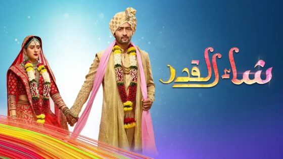 مسلسل شاء القدر الحلقة 201 مترجمة بجودة HD