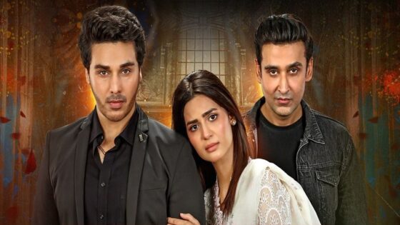 مسلسل الباكستاني لا اقبل حبك الحلقة 19 مترجمة